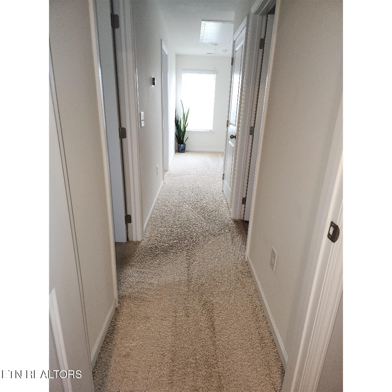 128 Waverly Path Talbott, TN 37877 - Photo 17 of 20 16