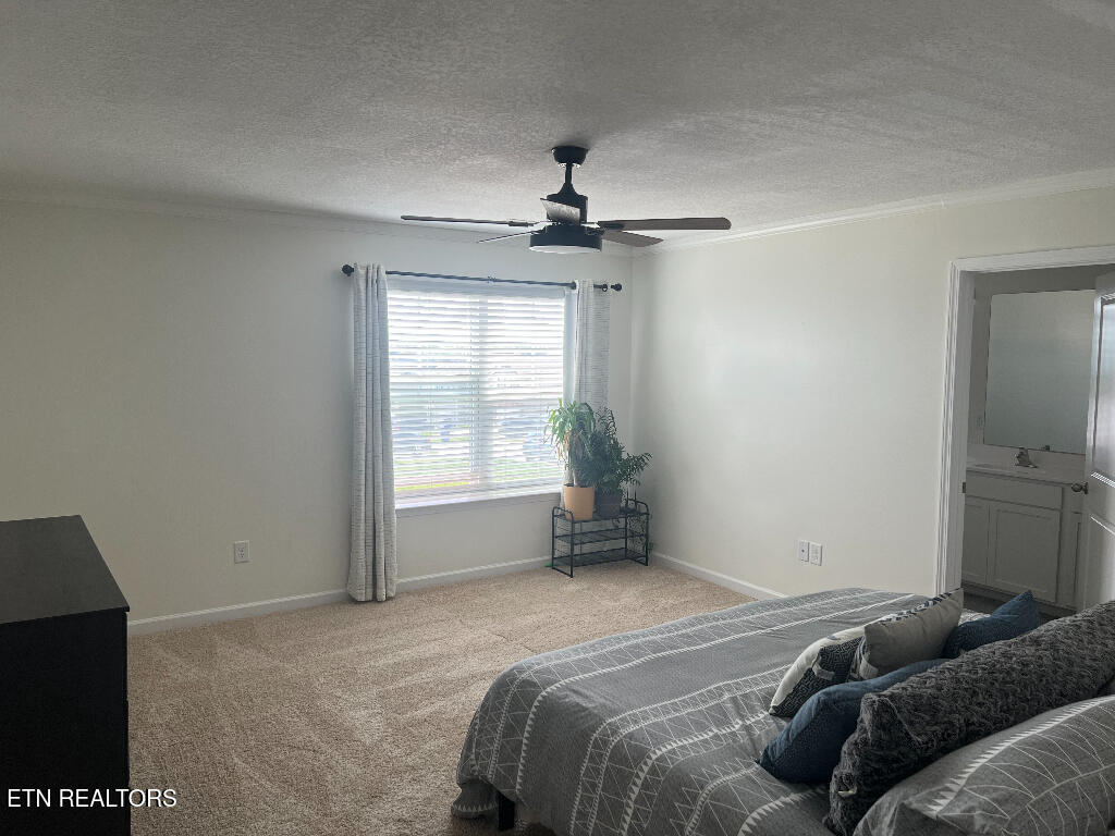 128 Waverly Path Talbott, TN 37877 - Photo 18 of 20 17