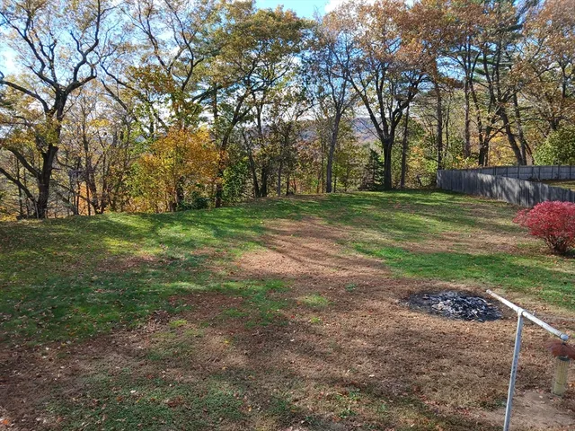 a view of a park with large trees