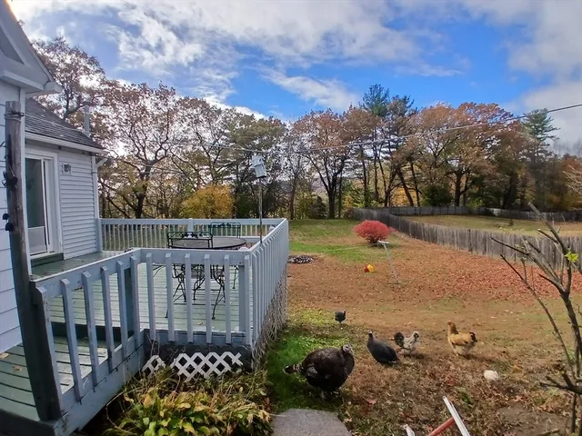 a view of outdoor space with garden and entertaining space