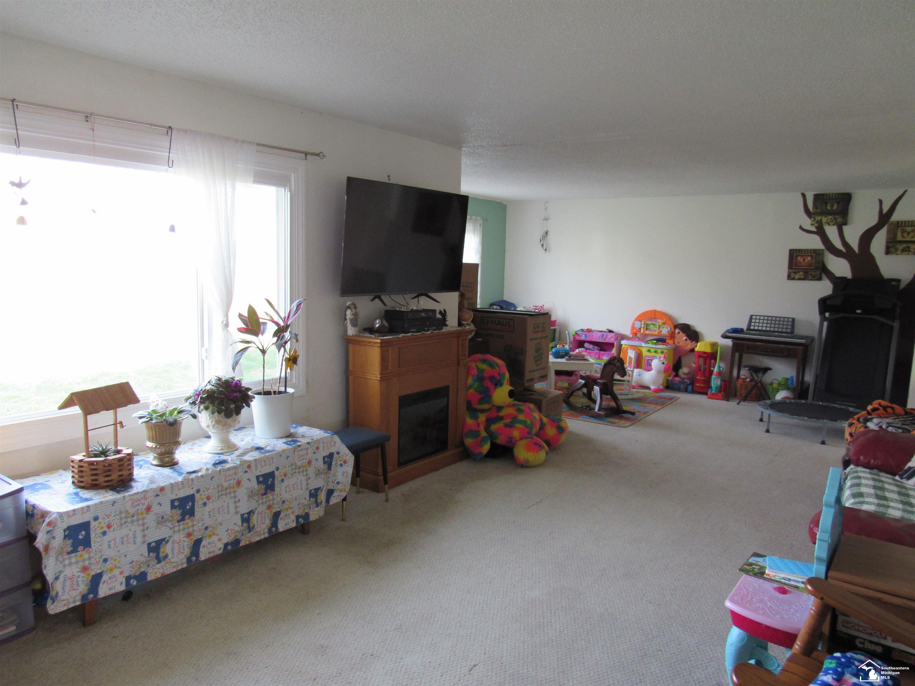 6946 West Dunbar Road Monroe, MI 48161 - Photo 4 of 28 50096697-3.JPG