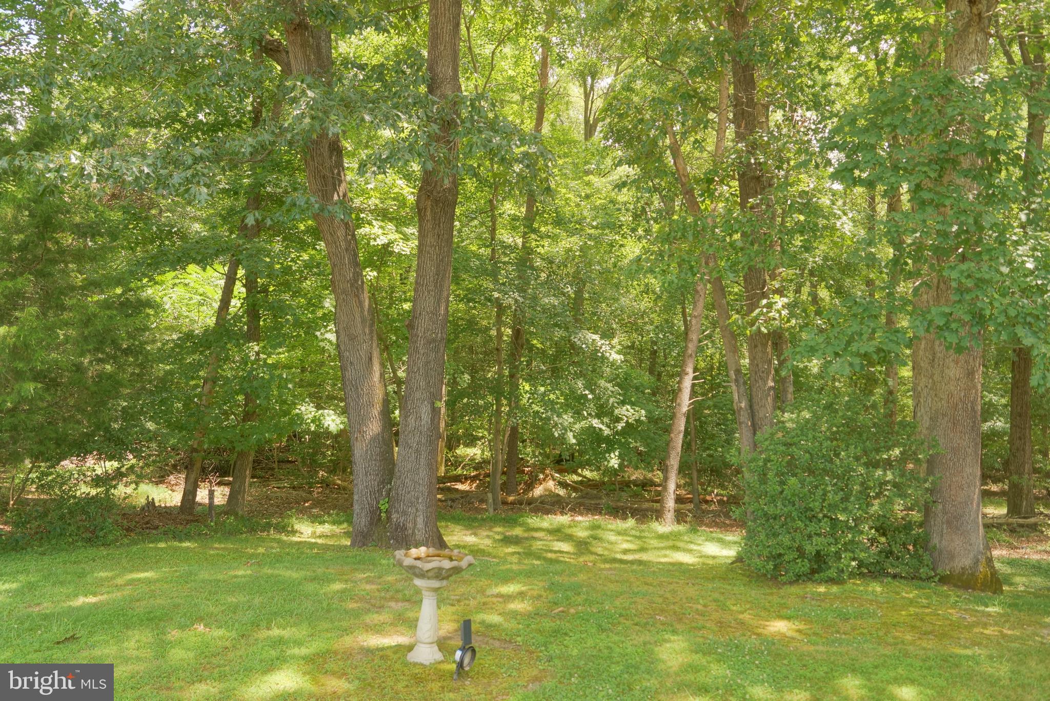 10505 Cedarville Road, Unit 220 Brandywine, MD 20613 - Photo 27 of 28