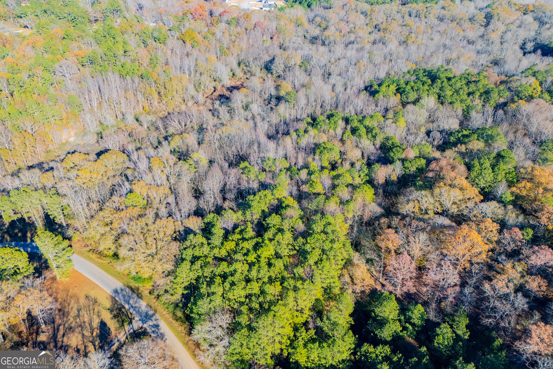 36.70-acres Holmes Road Carrollton, GA 30117 - Photo 3 of 3