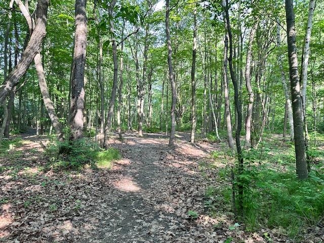 7390 West Dodge Road Montrose, MI 48457 - Photo 29 of 37 50144202-4bbeb6a2-3e63-4345-9e94-5bcd5944eb9a.JPG