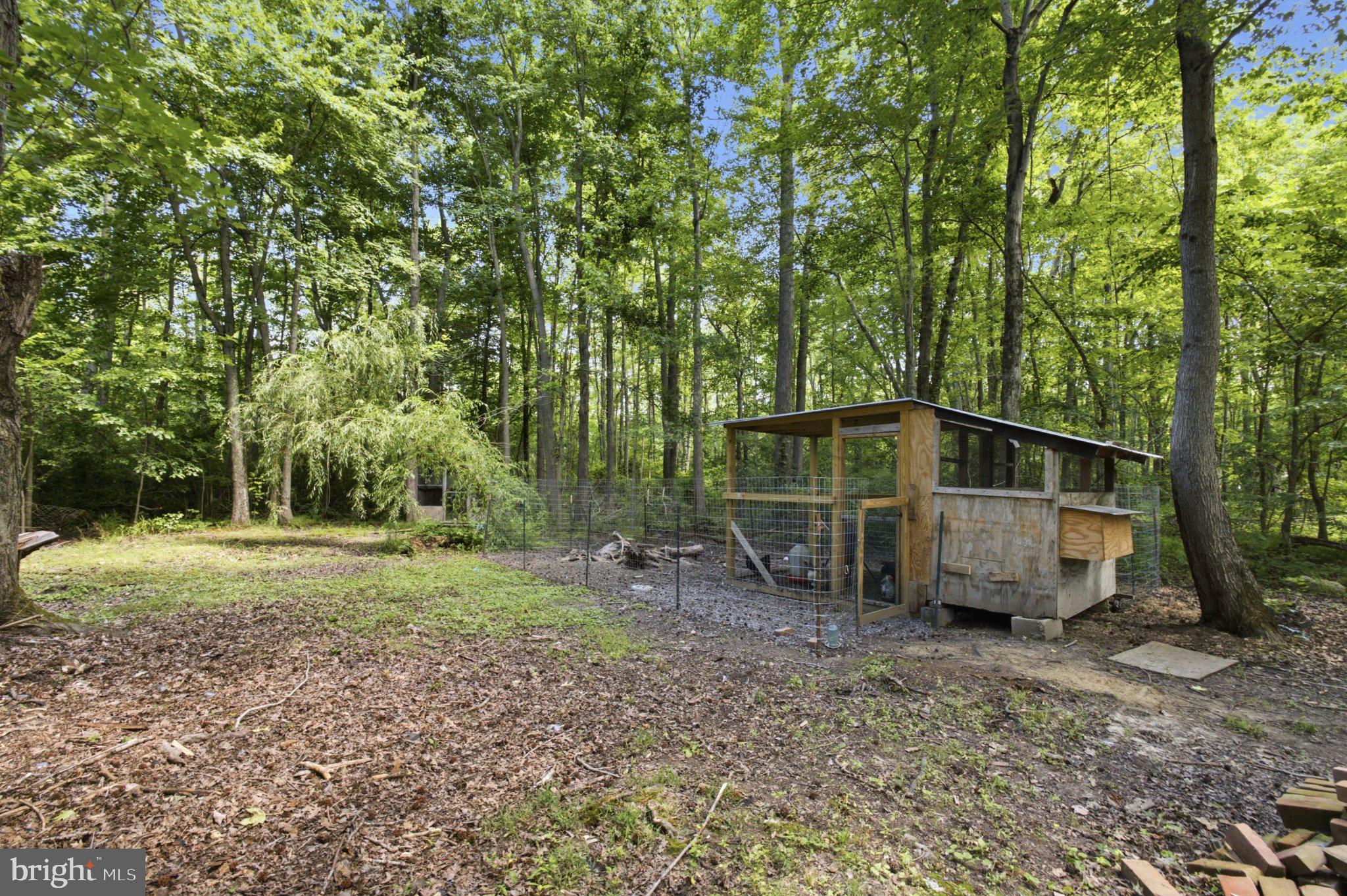 5650 Deale Churchton Road Churchton, MD 20733 - Photo 28 of 31 Serene woodland retreat with coop.