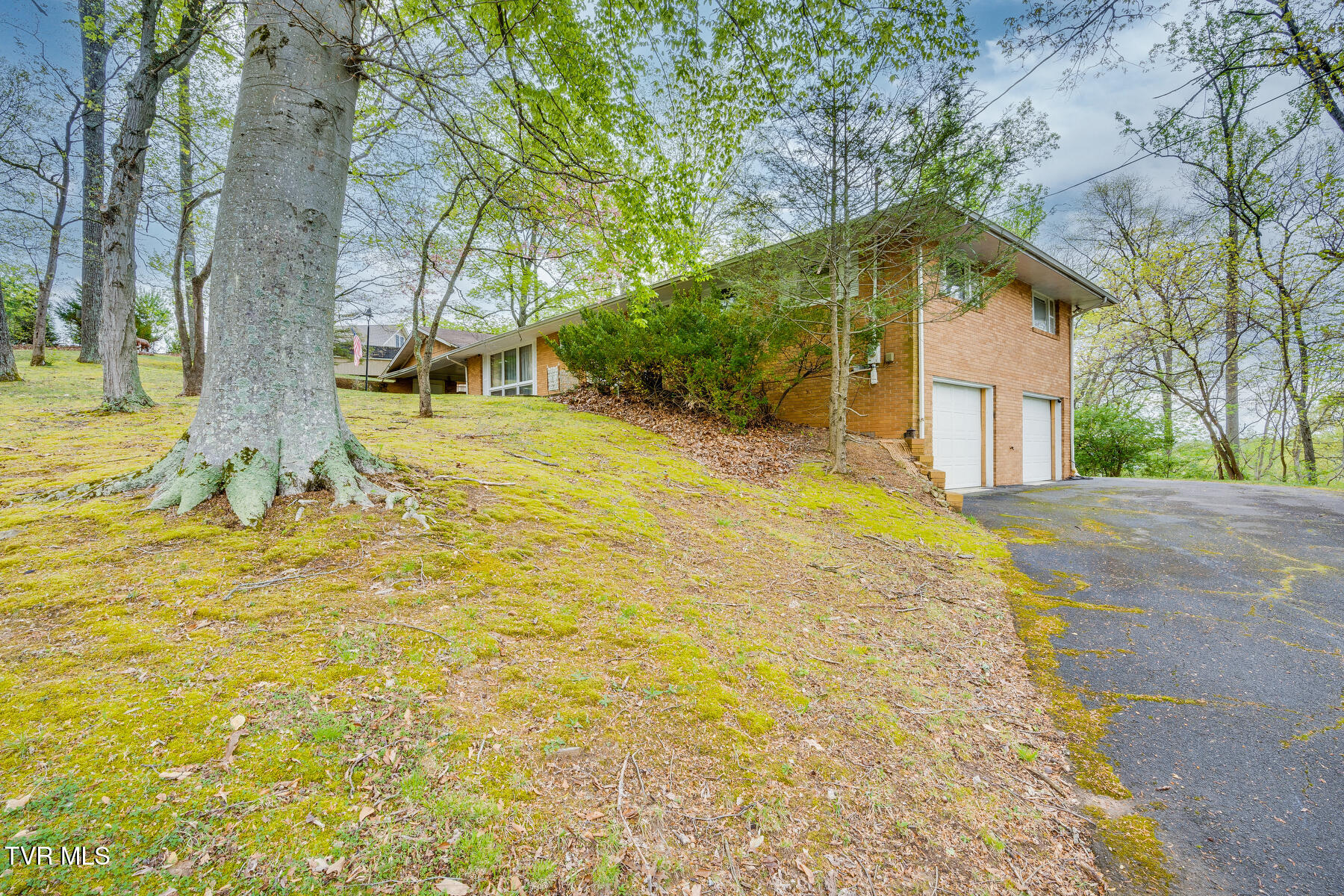 4501 Old Stage Road Kingsport, TN 37664 - Photo 3 of 35 003