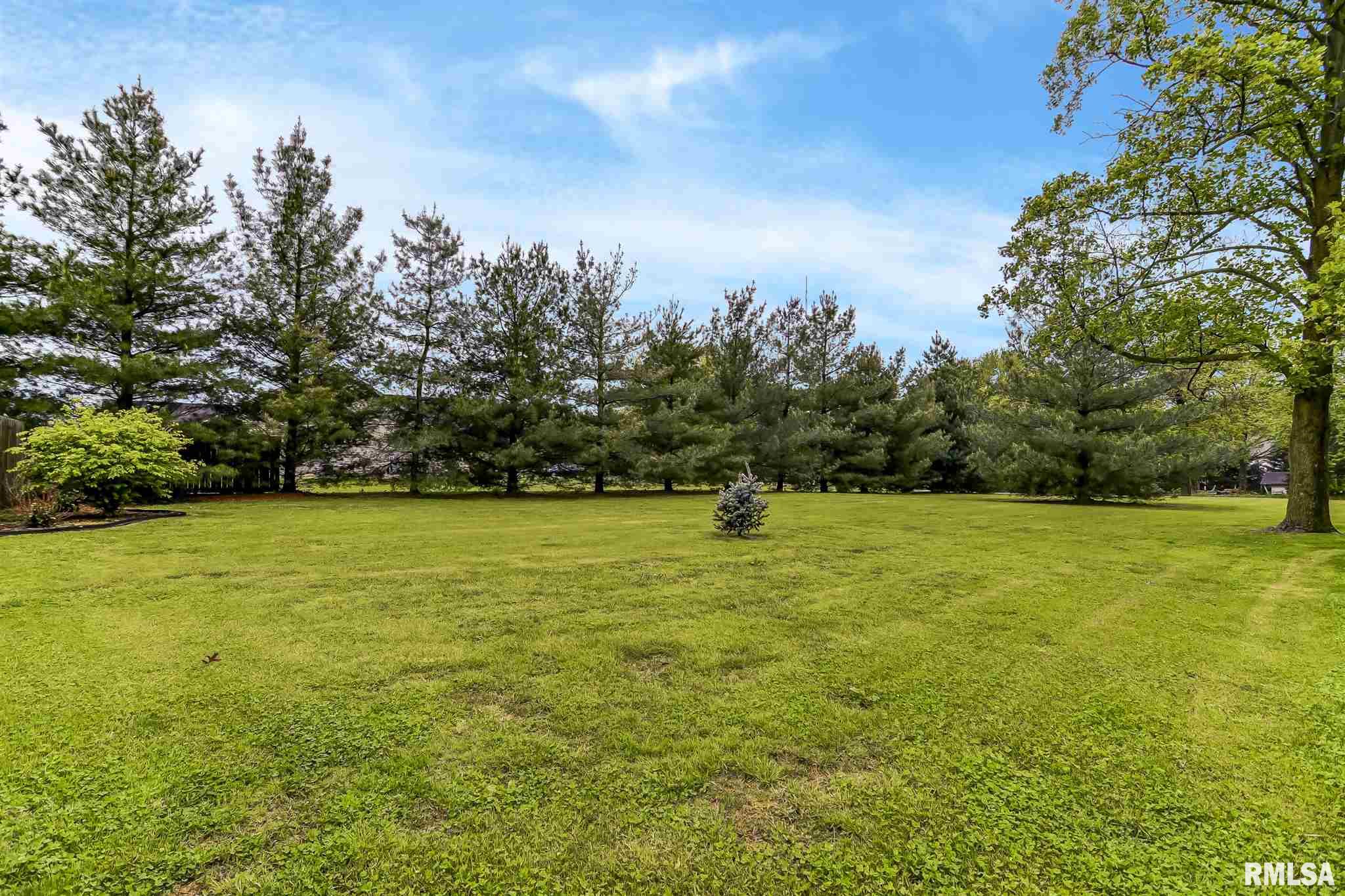 546 Jostes Road Rochester, IL 62563 - Photo 45 of 50