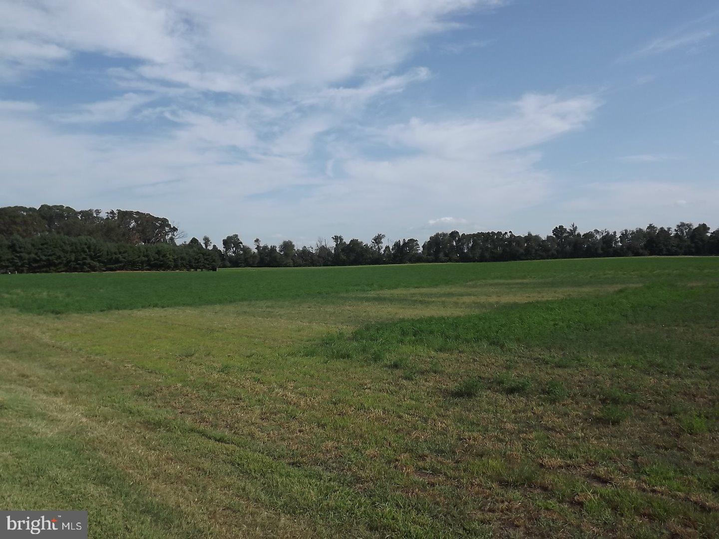 L:13-01 West Wolfert Station Road Mickleton, NJ 08056 - Photo 4 of 5 Gallery Image 4