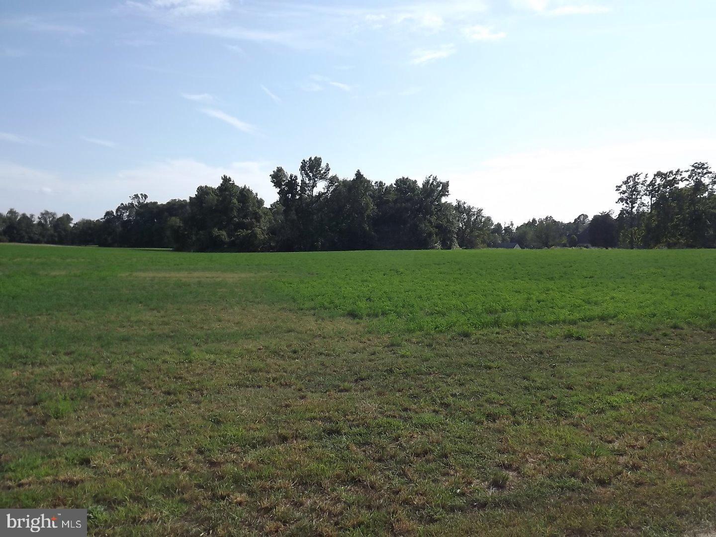 L:13-01 West Wolfert Station Road Mickleton, NJ 08056 - Photo 5 of 5 Gallery Image 5