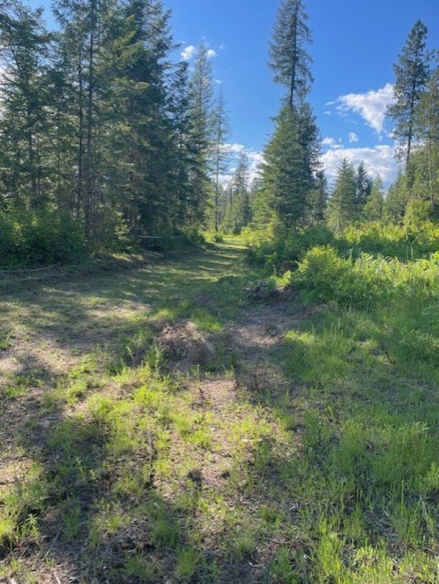 Nkn Bead Lake Road Oldtown, ID 83822 - Photo 27 of 27
