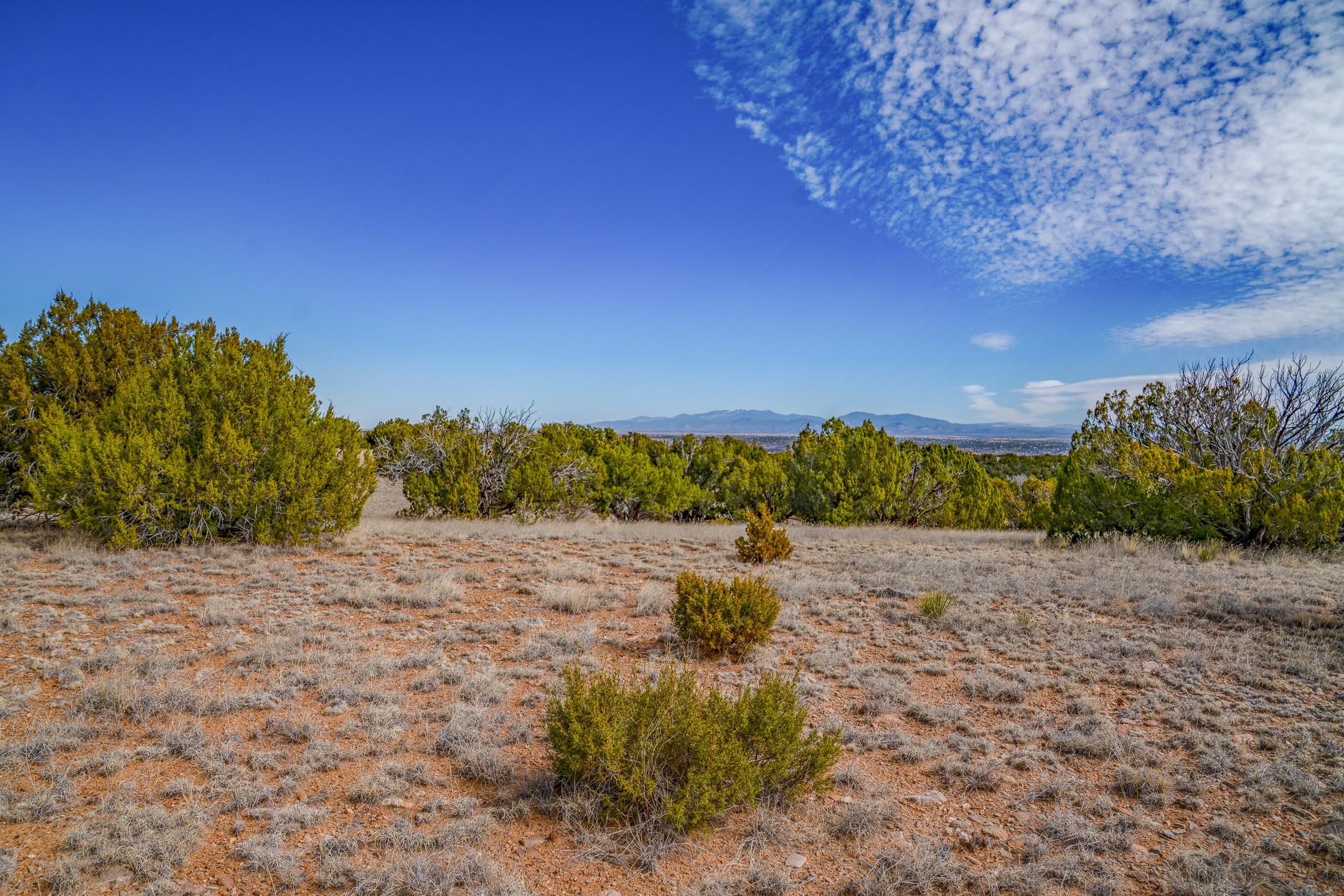 65 Grenfell Ranch Road Cerrillos, NM 87010 - Photo 19 of 46