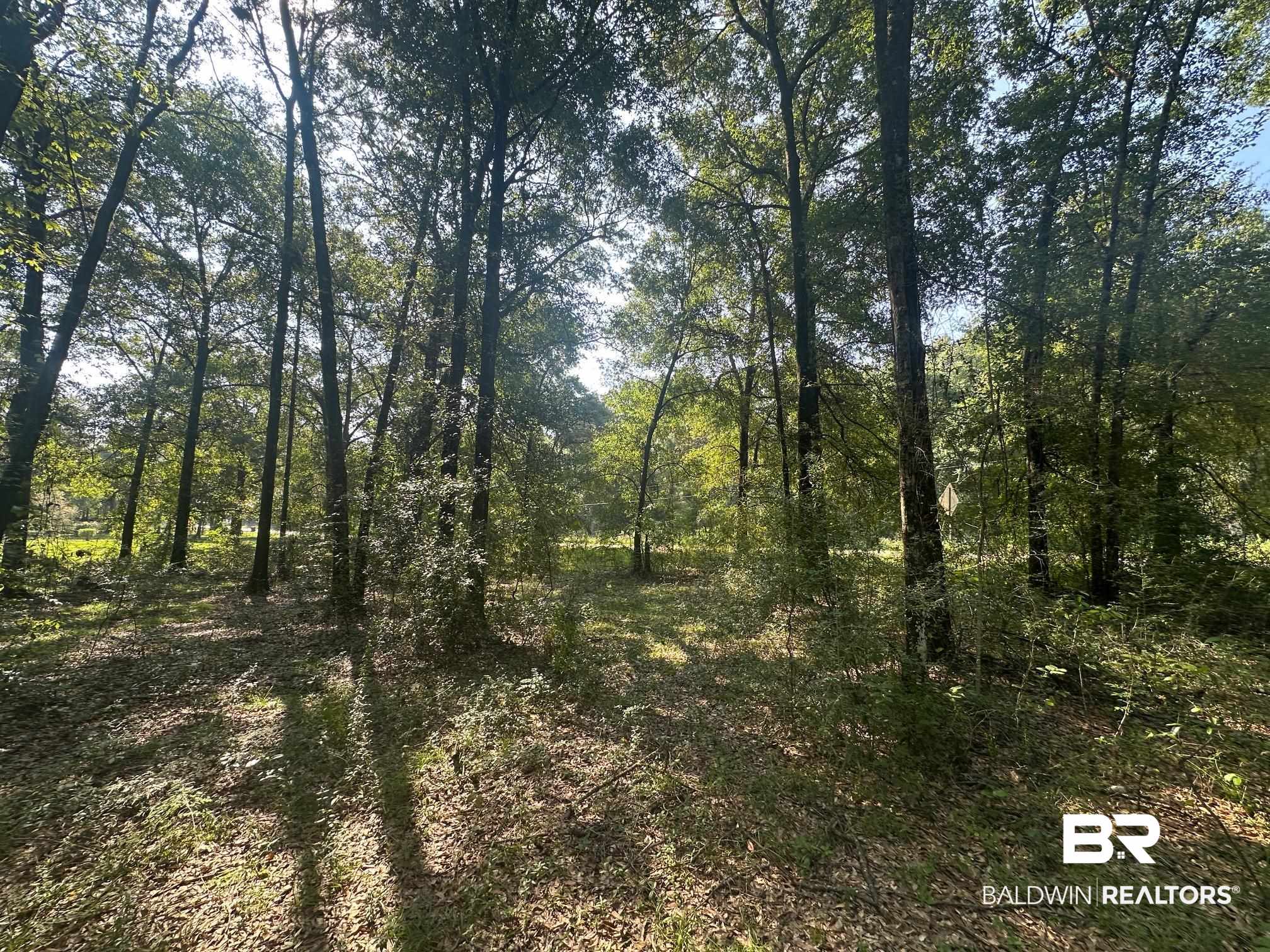 0 Danner Road East Wilmer, AL 36587 - Photo 10 of 13 View of tree filled area