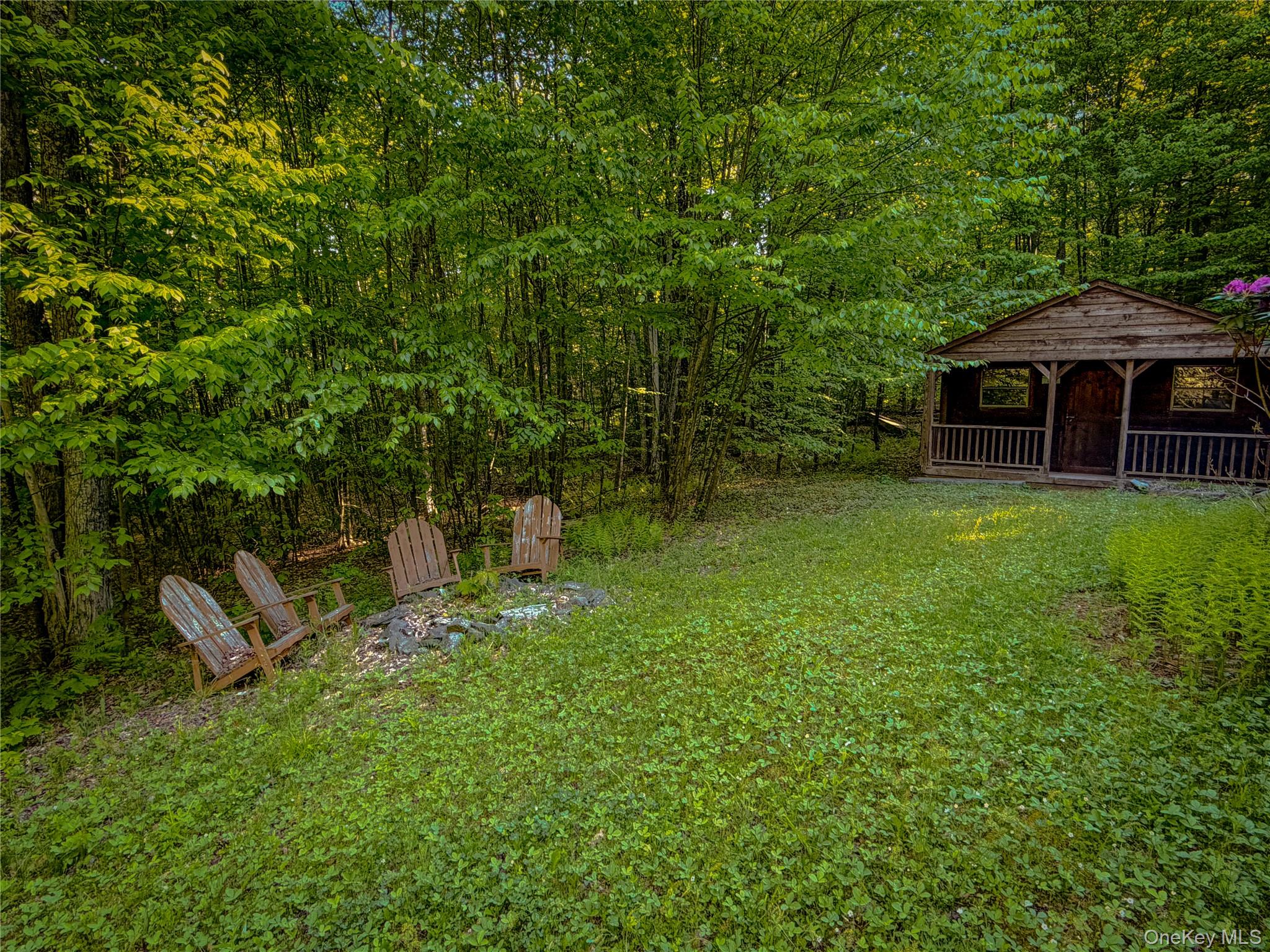 836 Emerald Lake Road Delancey, NY 13752 - Photo 17 of 18