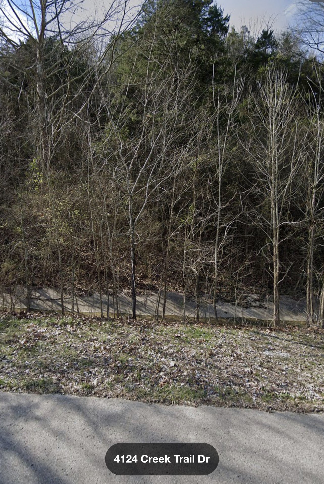 4124 Creek Trail Drive Whites Creek, TN 37189 - Photo 1 of 1