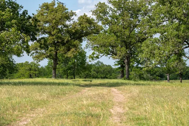a view of a field with a trees in the background