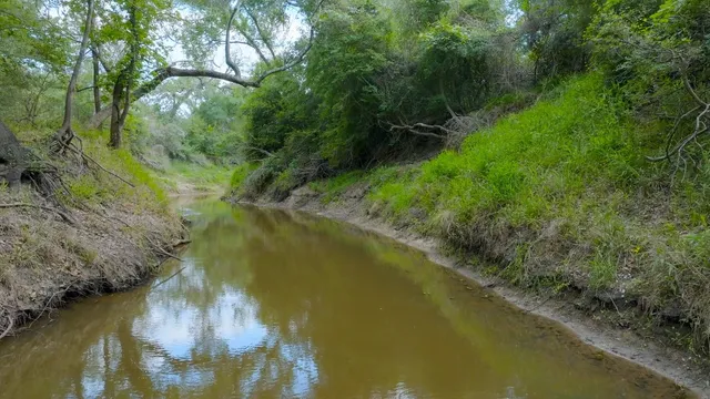 a view of a lake from a yard