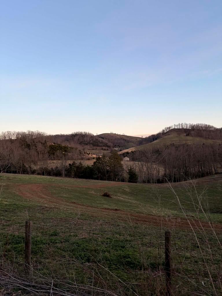 Tbd Romans Ridge Road Honaker, VA 24260 - Photo 14 of 33 Gallery Image 14