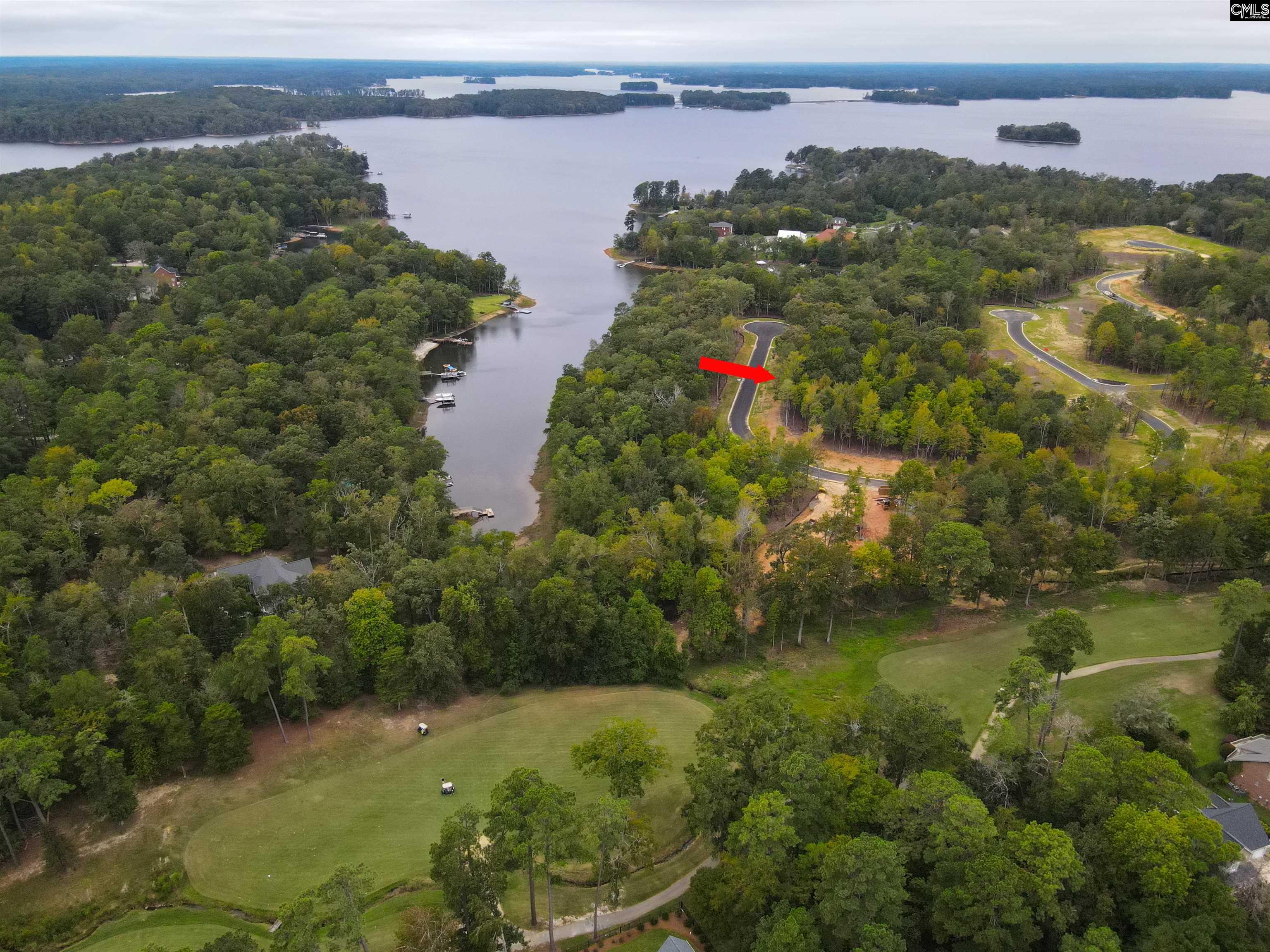 1068 Refuge Place Chapin, SC 29036 - Photo 16 of 17