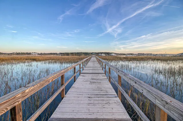 $950,000 | 141 Wando Reach Drive, Charleston, SC 29492