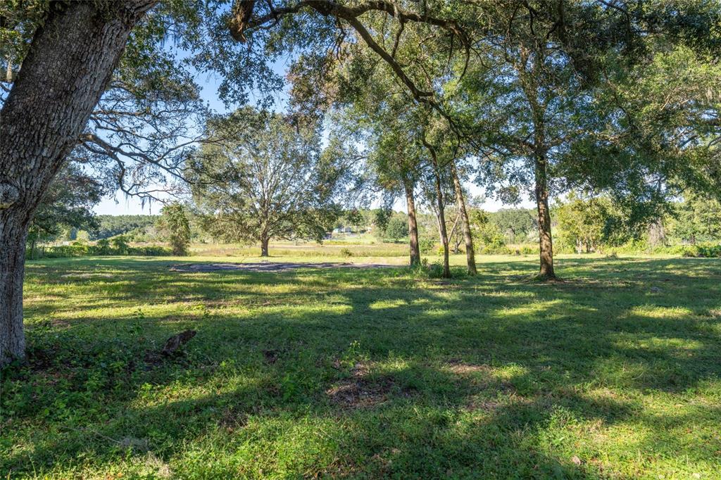 17123 Southeast 173rd Terrace Road Weirsdale, FL 32195 - Photo 51 of 62