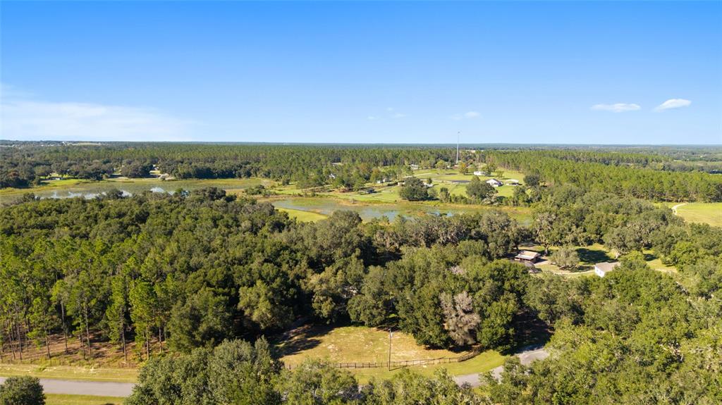 17123 Southeast 173rd Terrace Road Weirsdale, FL 32195 - Photo 52 of 62