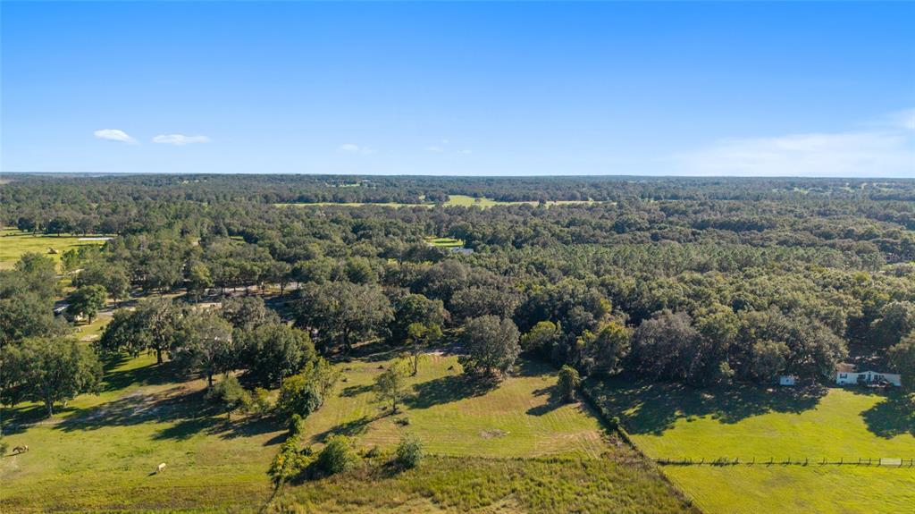 17123 Southeast 173rd Terrace Road Weirsdale, FL 32195 - Photo 56 of 62