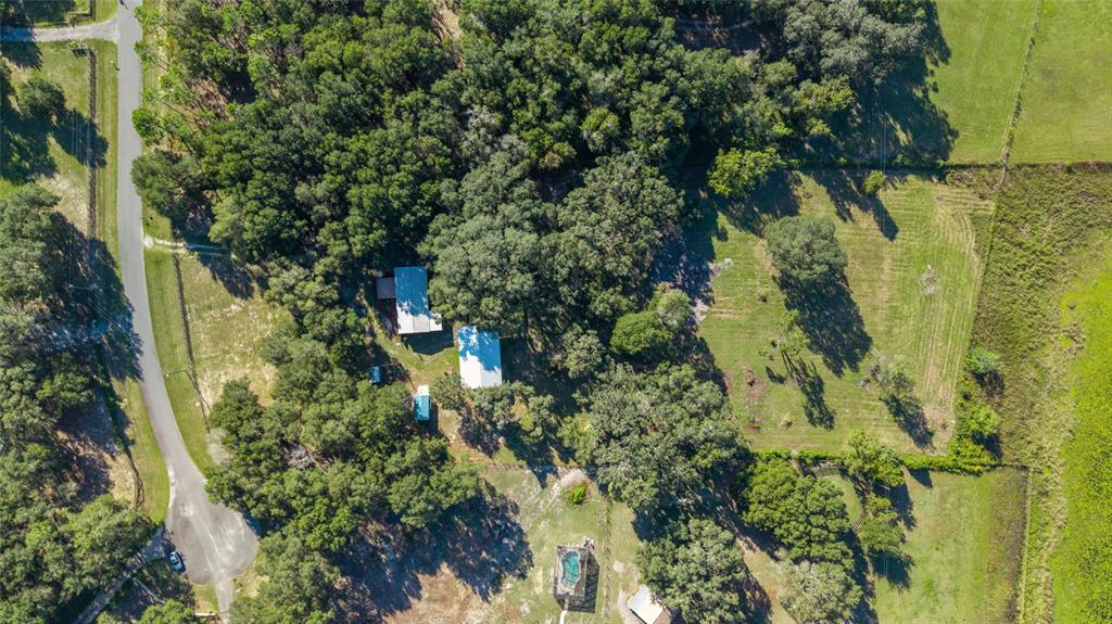 17123 Southeast 173rd Terrace Road Weirsdale, FL 32195 - Photo 60 of 62