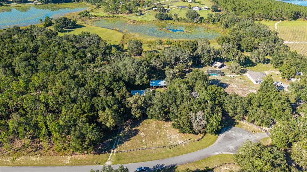 17123 Southeast 173rd Terrace Road Weirsdale, FL 32195 - Photo 61 of 62