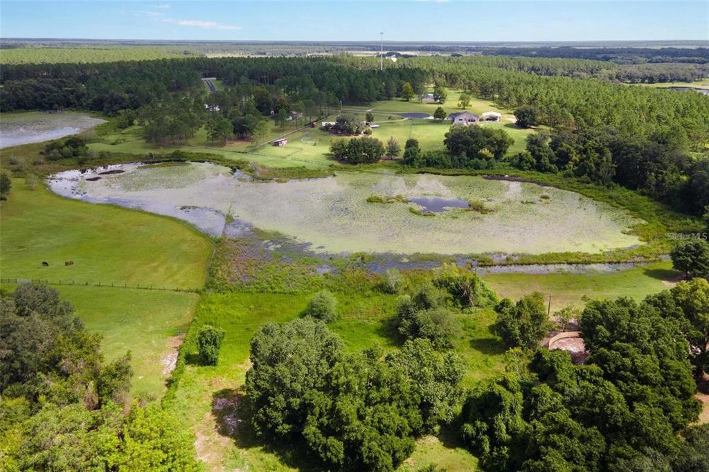 17123 Southeast 173rd Terrace Road Weirsdale, FL 32195 - Photo 62 of 62