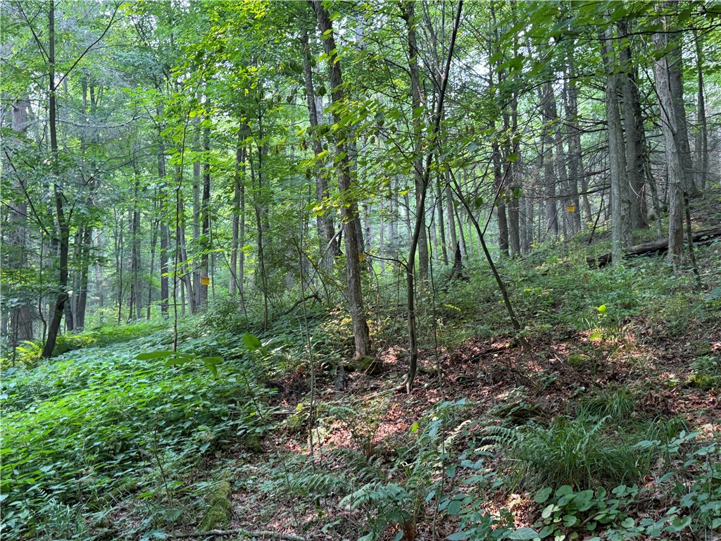 Wp01 Starr Road Campbell, NY 14821 - Photo 38 of 50 Gallery Image 38
