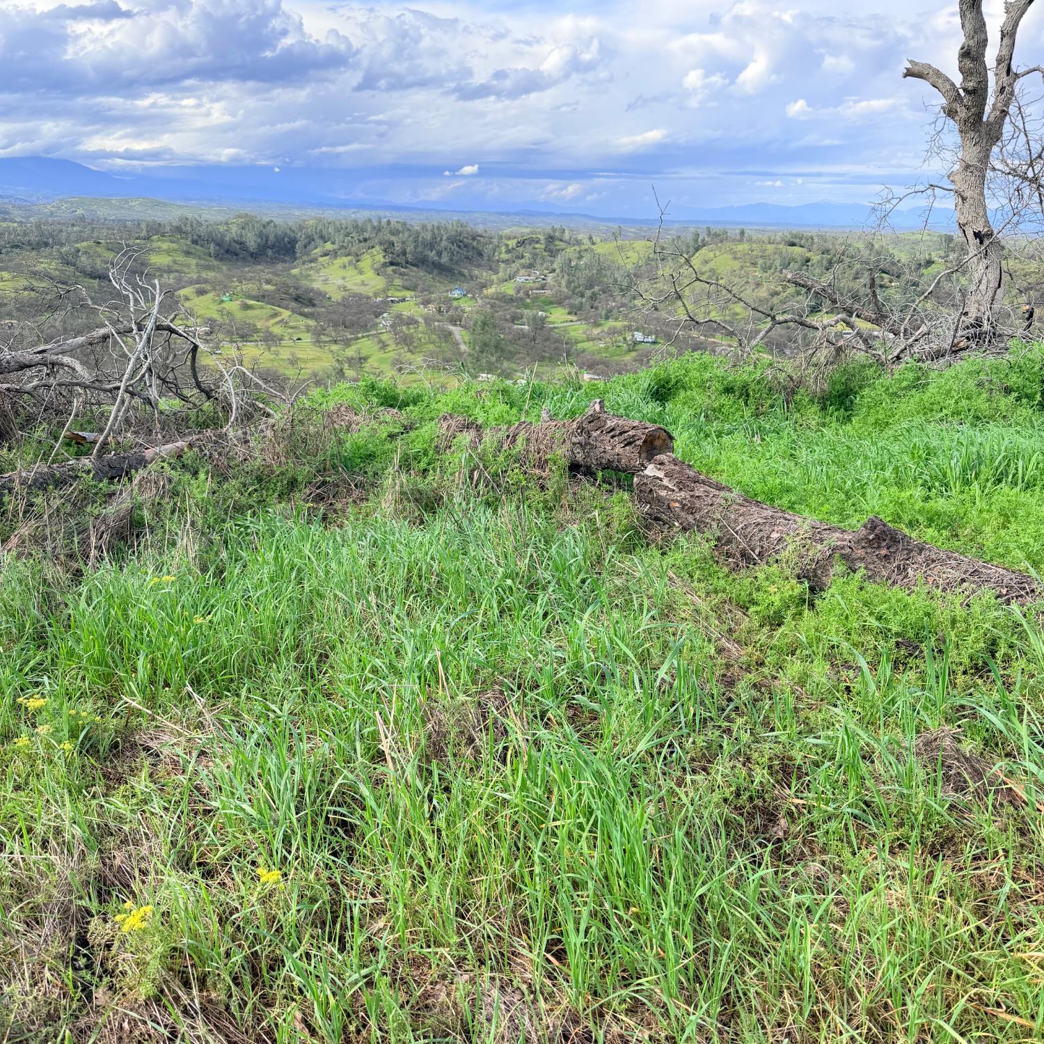 15782 Stagecoach Road Corning, CA 96021 - Photo 1 of 14