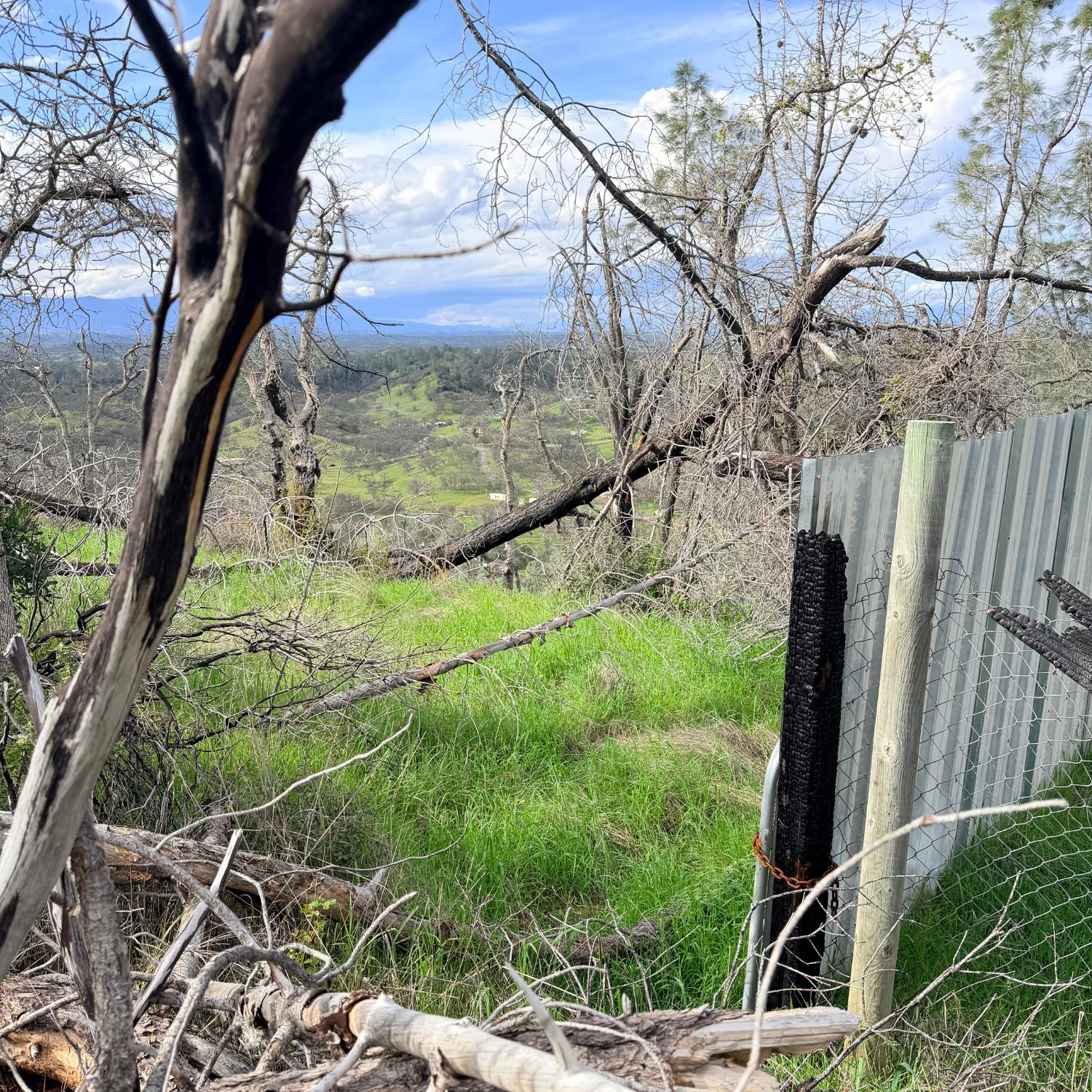 15782 Stagecoach Road Corning, CA 96021 - Photo 11 of 14