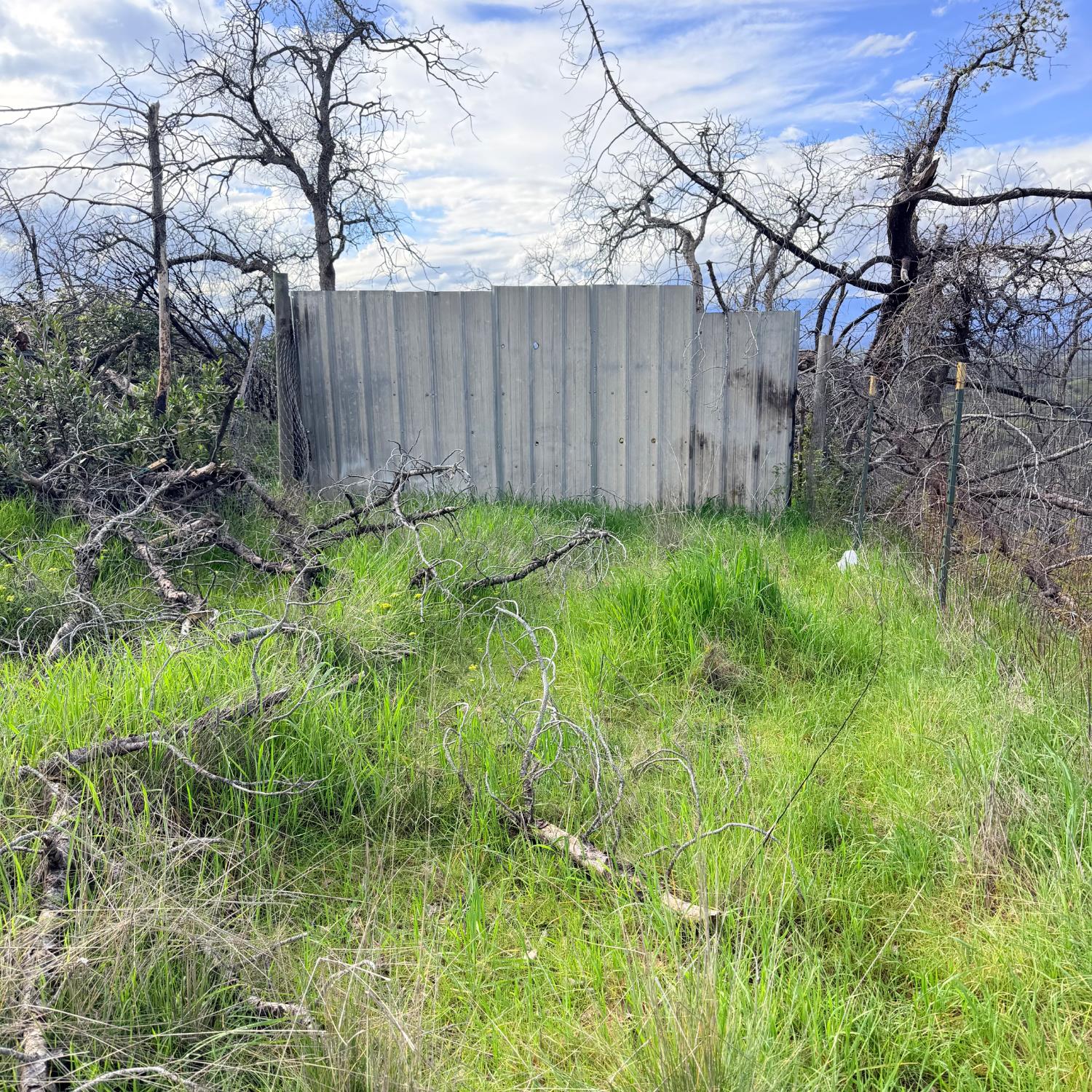 15782 Stagecoach Road Corning, CA 96021 - Photo 12 of 14