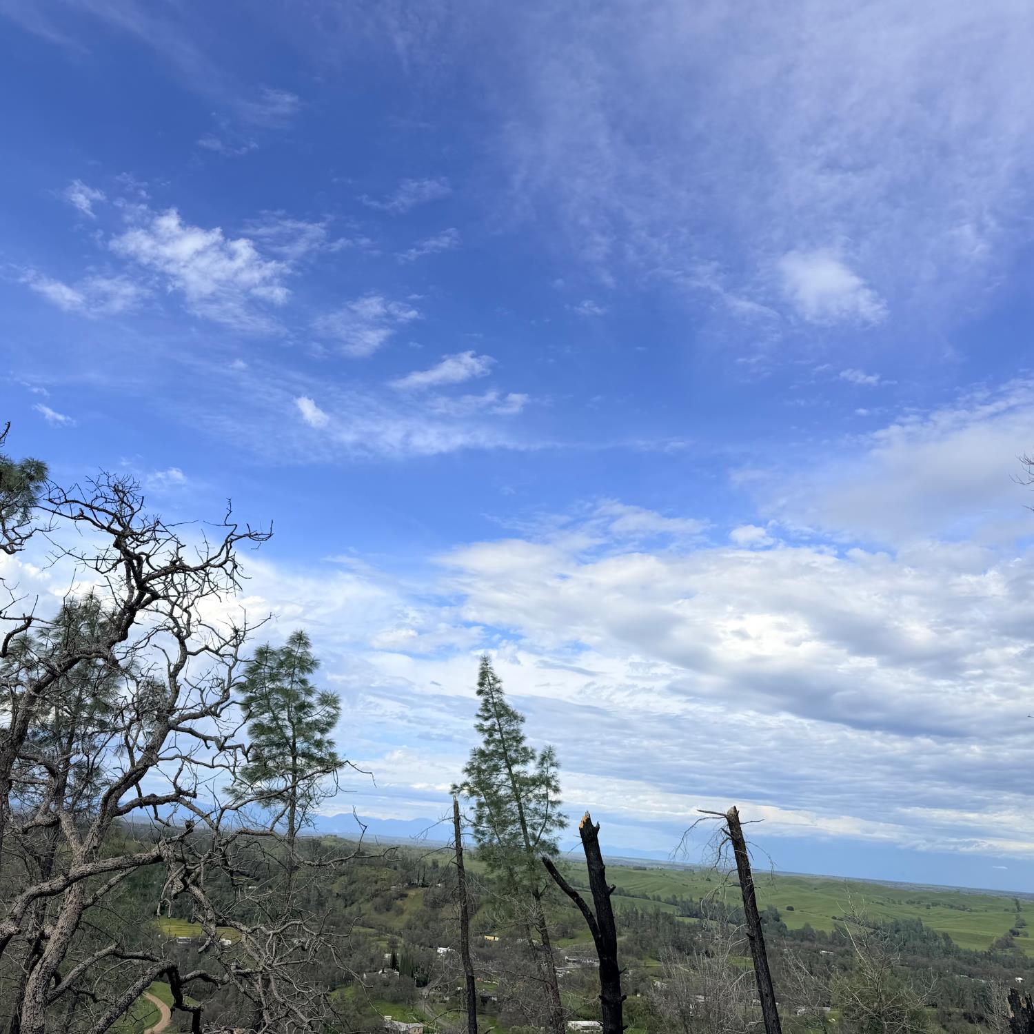 15782 Stagecoach Road Corning, CA 96021 - Photo 13 of 14