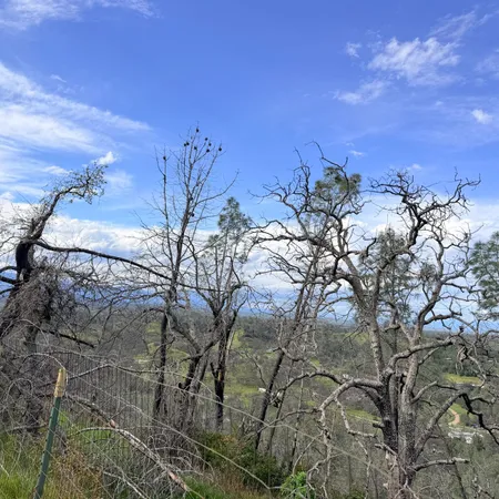 $65,000 | 15782 Stagecoach Road, Corning, CA 96021