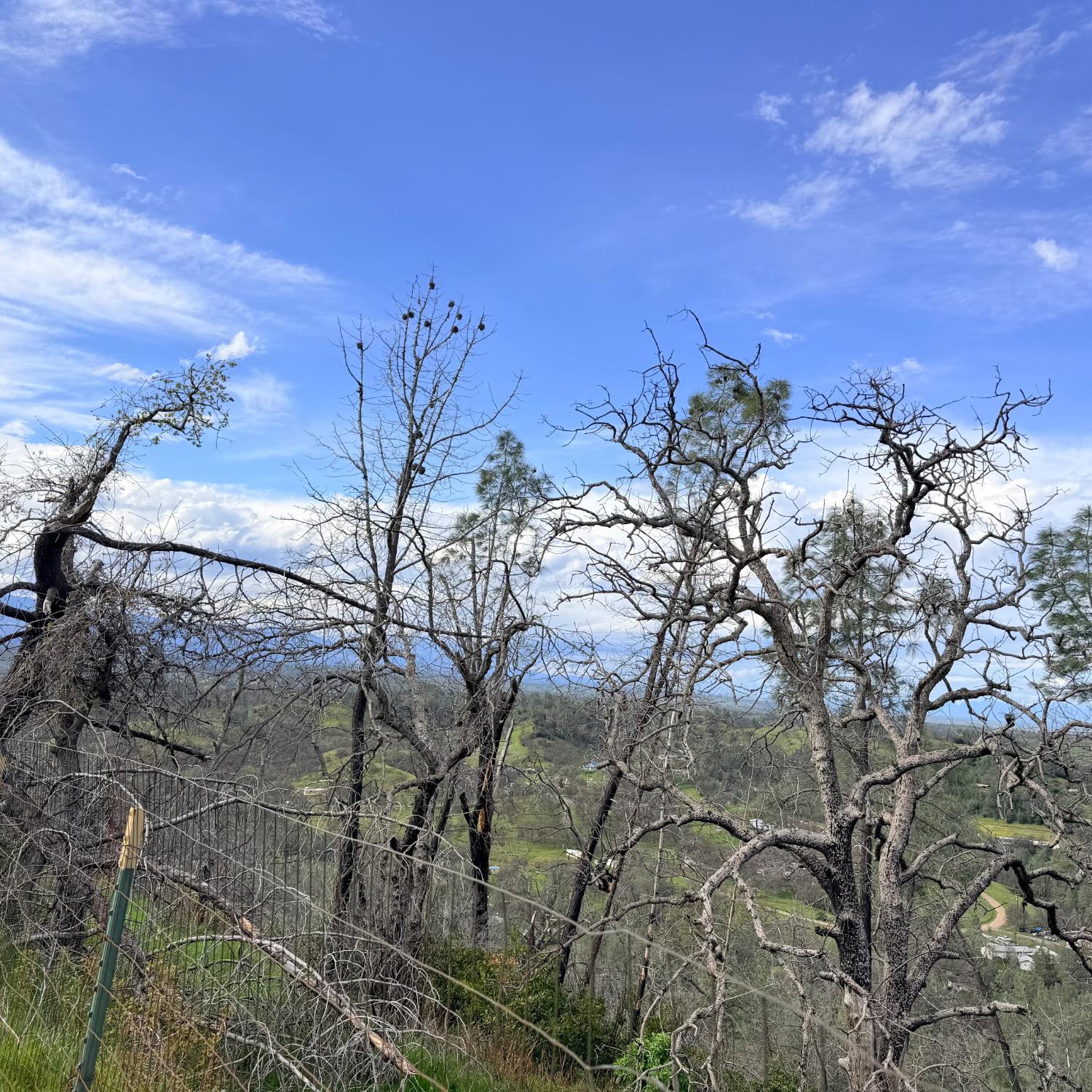 15782 Stagecoach Road Corning, CA 96021 - Photo 14 of 14