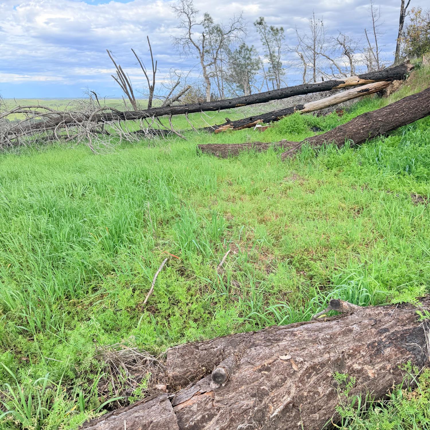 15782 Stagecoach Road Corning, CA 96021 - Photo 2 of 14