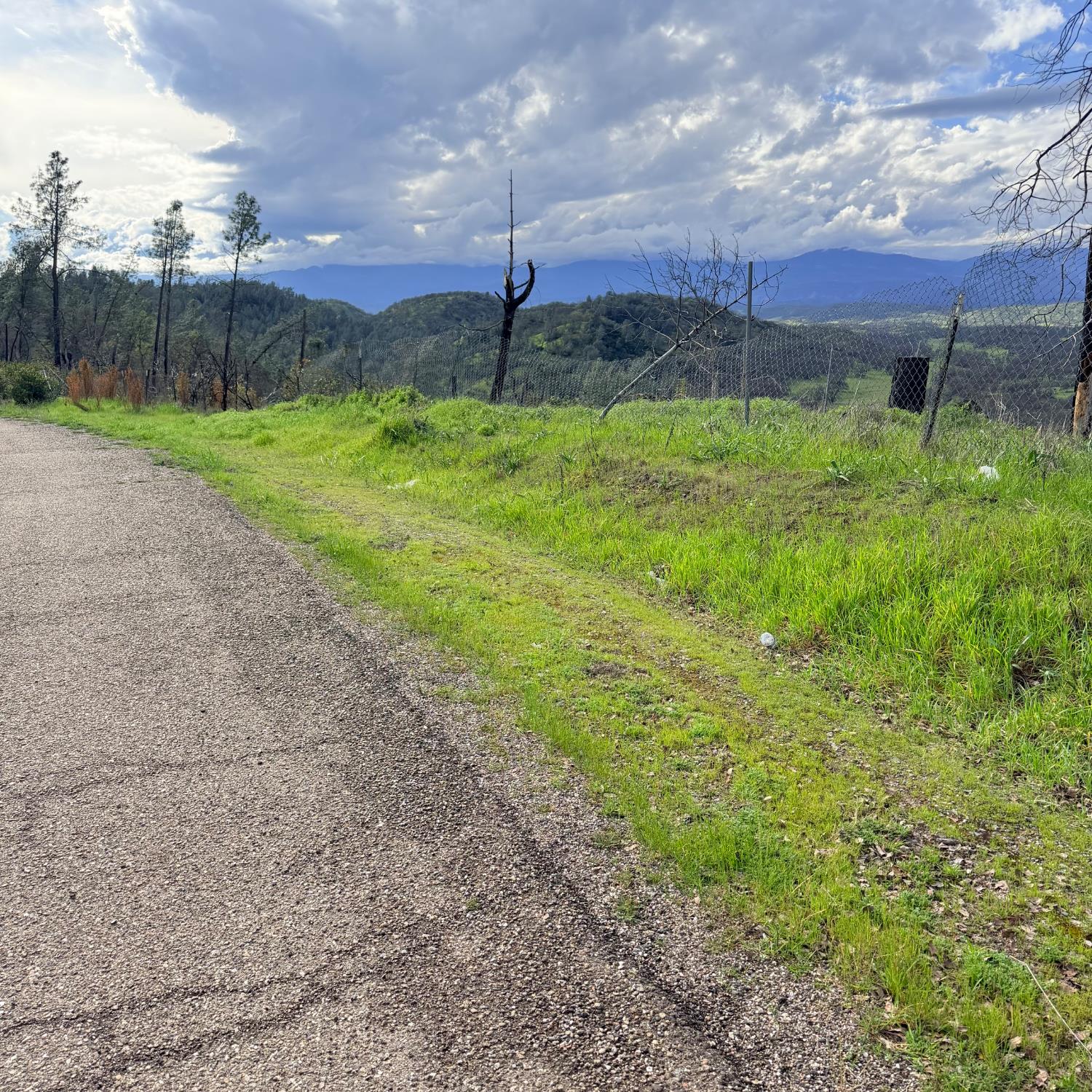 15782 Stagecoach Road Corning, CA 96021 - Photo 3 of 14