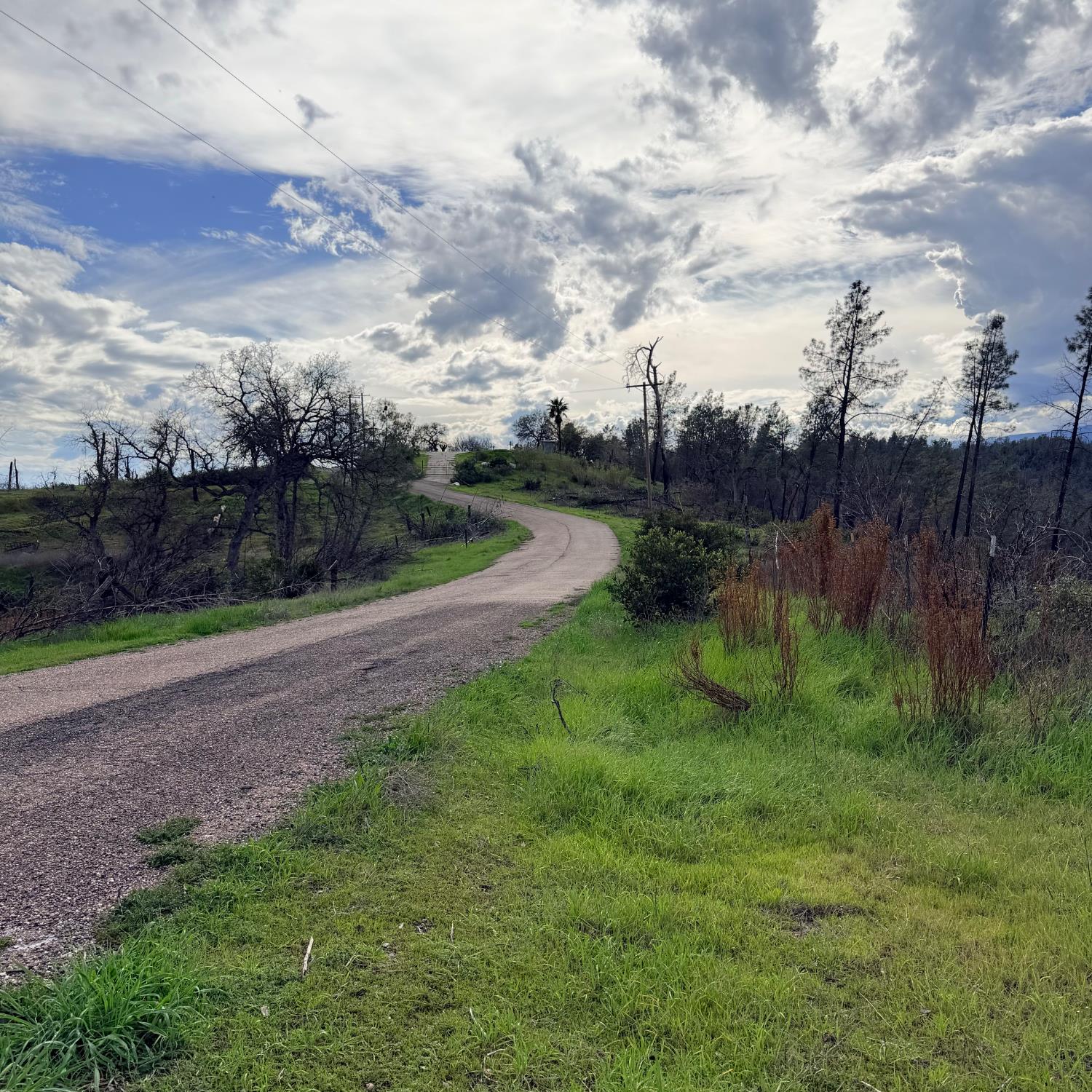 15782 Stagecoach Road Corning, CA 96021 - Photo 4 of 14