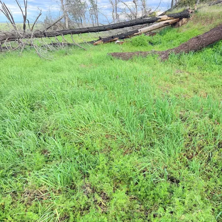 $65,000 | 15782 Stagecoach Road, Corning, CA 96021