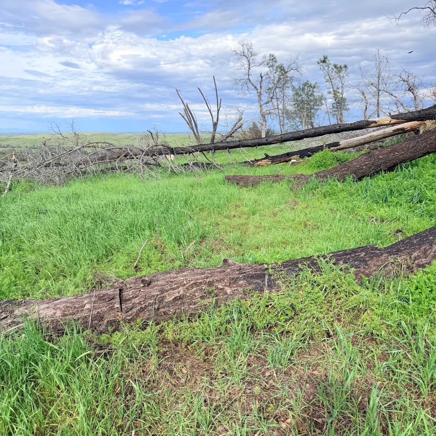 15782 Stagecoach Road Corning, CA 96021 - Photo 9 of 14