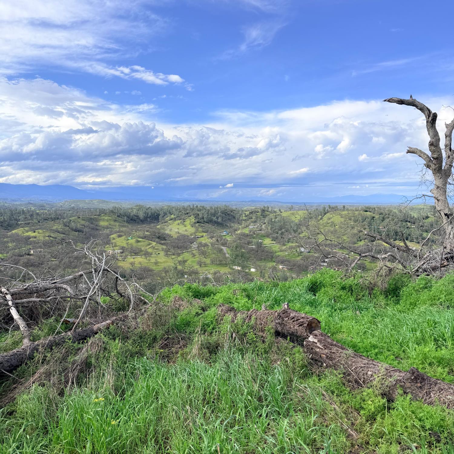 15782 Stagecoach Road Corning, CA 96021 - Photo 10 of 14