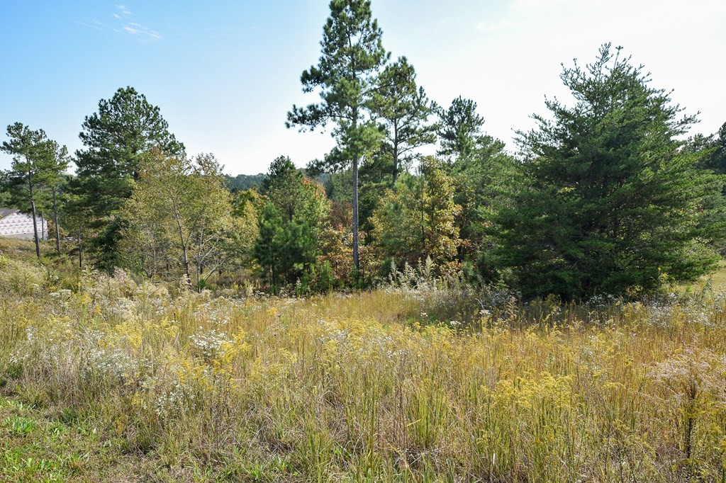 0 Hazelwood Road Dayton, TN 37321 - Photo 3 of 6 Gallery Image 3
