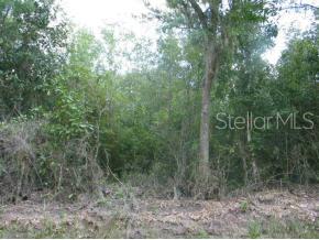 5 Northwest Giles Martin Rd Lake Lake City, FL 32024 - Photo 1 of 1