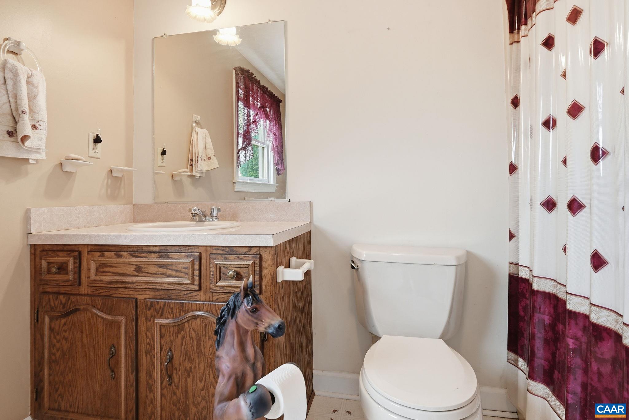 10002 Dyke Road Stanardsville, VA 22973 - Photo 37 of 73 a bathroom with a sink a toilet and a mirror
