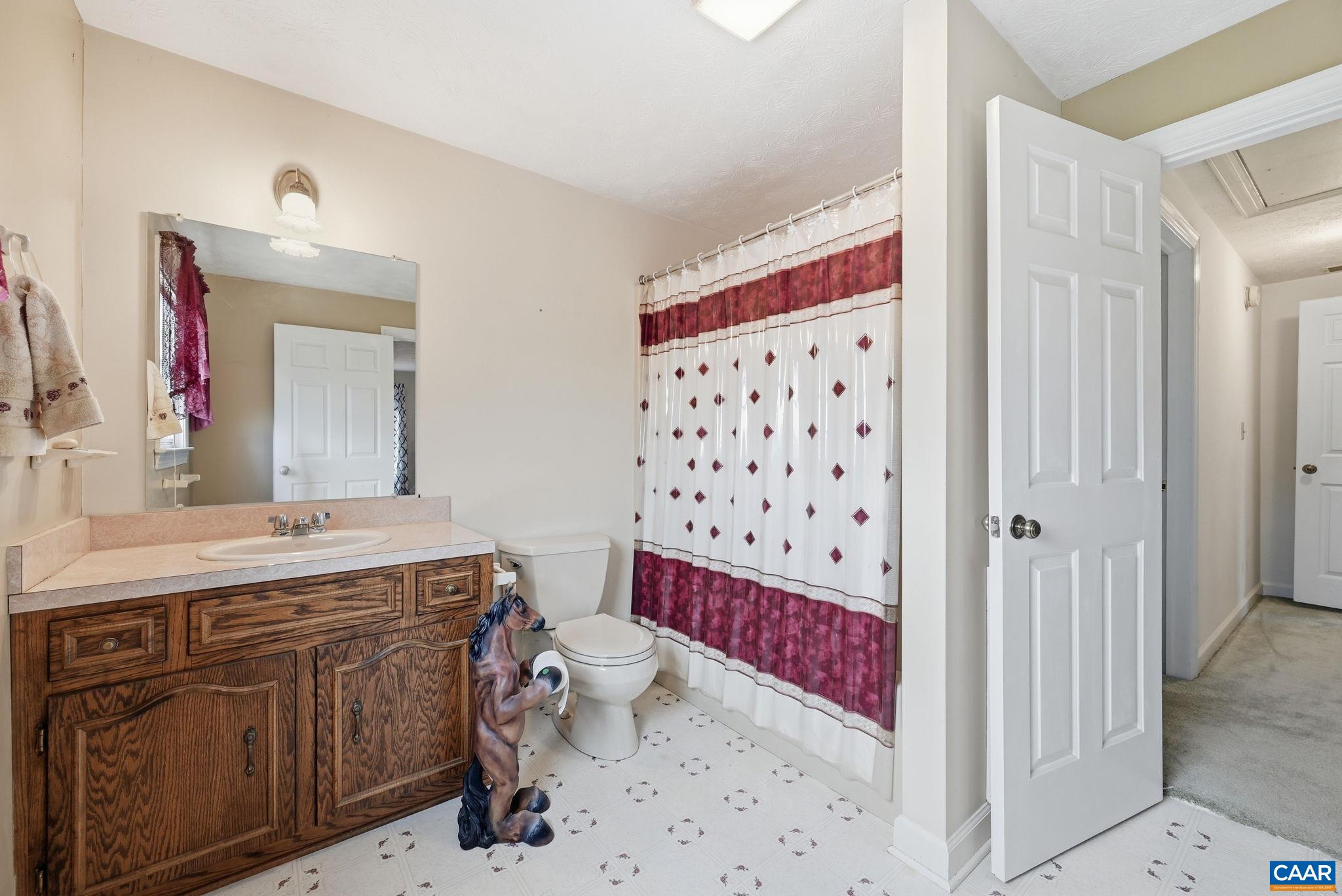 10002 Dyke Road Stanardsville, VA 22973 - Photo 38 of 73 a bathroom with a sink mirror vanity and toilet