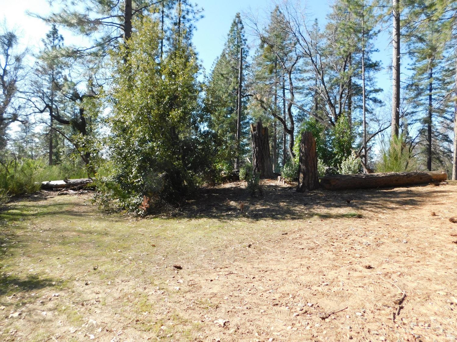 2839 Lily Gap Road West Point, CA 95255 - Photo 44 of 58 Gallery Image 44