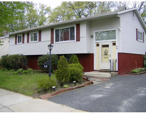 29 Dodge Road Boston, MA 02136 - Photo 1 of 15 a view of a house with a yard plants and a garage