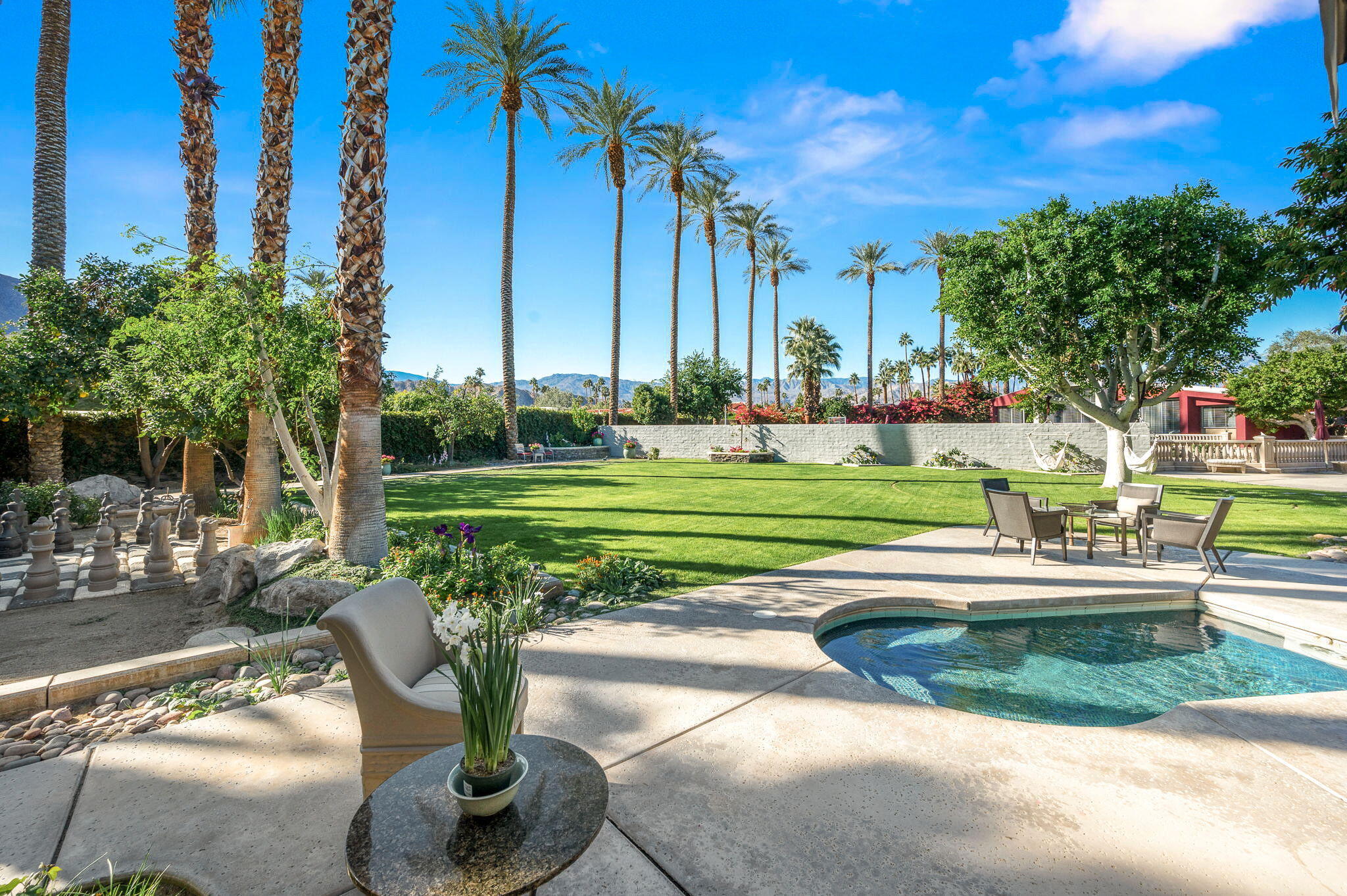 45447 Camino Del Rey Indian Wells, CA 92210 - Photo 16 of 62 11-web-or-mls-9 spa and yard with palms