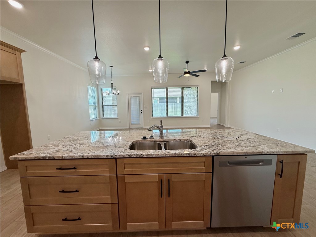505 Magnolia Drive Troy, TX 76579 - Photo 3 of 20